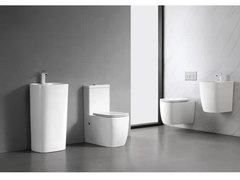 Bathroom Sanitary Wares -2